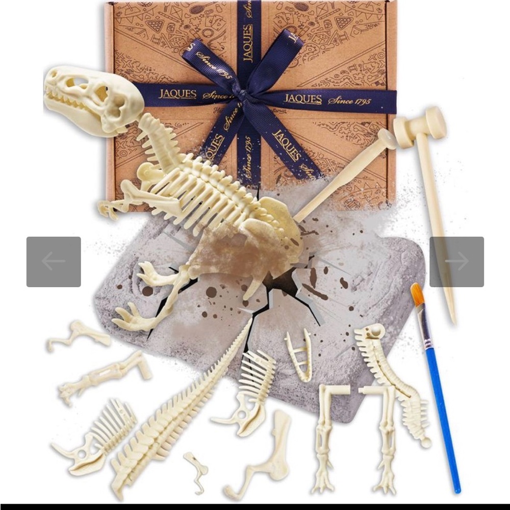 Dinosaur Fossil Excavation Kit